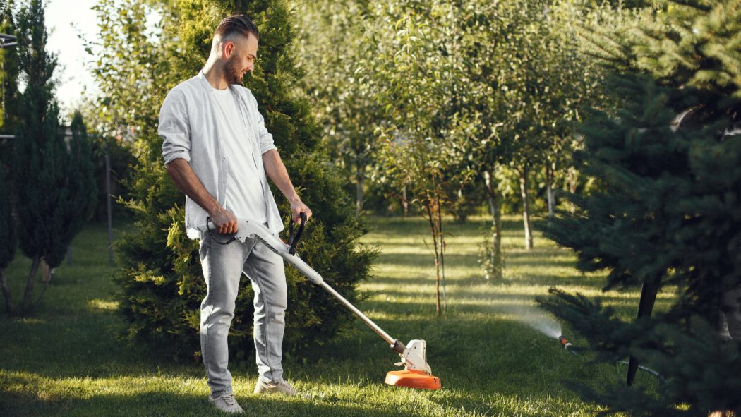 Aménagez votre jardin à Nice avec un paysagiste